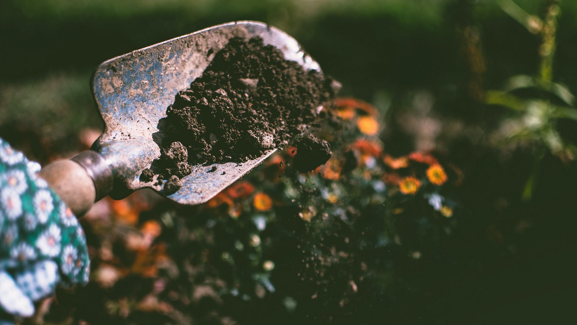 Gartenschaufel mit Erde